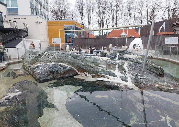 아파트 Center 베르겐