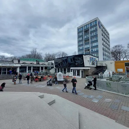 Center * Bergen