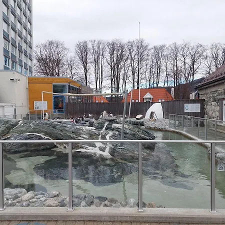 Center * Bergen