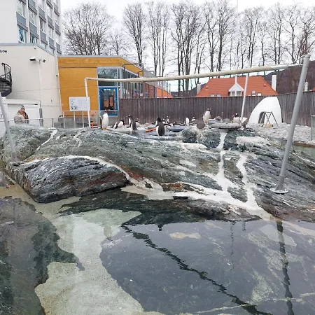 Appartement Center Bergen